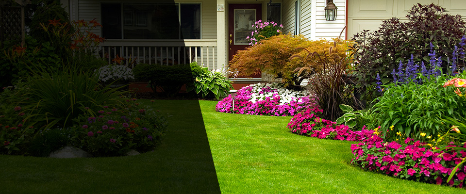 White House Landscapers