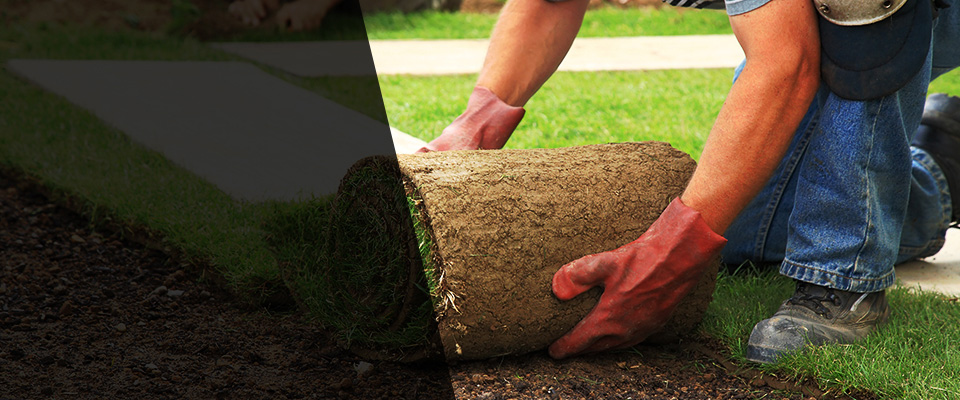 White House Landscapers
